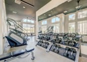 Thumbnail 6 of 26 - Fitness Center Weights